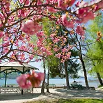 Stunning Woerthersee 16 * Sekull