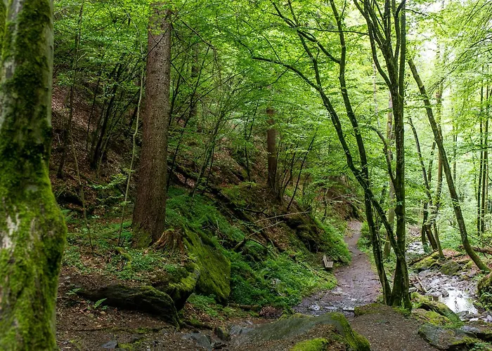 Apartament Stunning Woerthersee 16 *